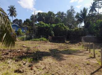 Residential Land for Sale in Palakkad, Palakkad, Puthuppariyaram, Mani Mandiram Rd, Near service co-operative Bank, Puthuppariyaram
