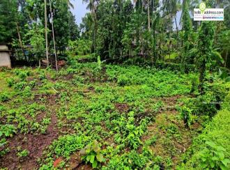 Residential Land for Sale in Pathanamthitta, Pathanamthitta, Valamchuzy, Chuttippara, Valanchuzhy, Pathanamthitta.