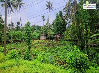Residential Land for Sale in Pathanamthitta, Pathanamthitta, Valamchuzy, Chuttippara, Valanchuzhy, Pathanamthitta.