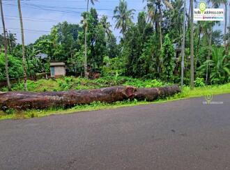 Residential Land for Sale in Pathanamthitta, Pathanamthitta, Valamchuzy, Chuttippara, Valanchuzhy, Pathanamthitta.