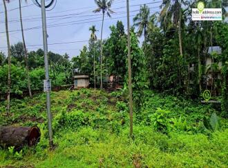 Residential Land for Sale in Pathanamthitta, Pathanamthitta, Valamchuzy, Chuttippara, Valanchuzhy, Pathanamthitta.