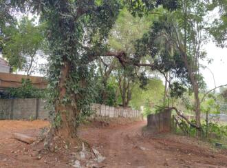 Residential Land for Sale in Palakkad, Ottappalam, Vaniyamkulam, Vanniyamkulam-vallappuzha road