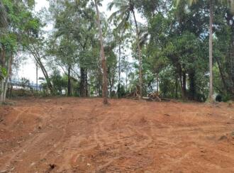 Residential Land for Sale in Palakkad, Ottappalam, Vaniyamkulam, Vanniyamkulam-vallappuzha road