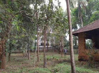 Residential Land for Sale in Palakkad, Ottappalam, Vaniyamkulam, Vanniyamkulam-vallappuzha road