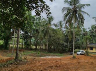Residential Land for Sale in Palakkad, Ottappalam, Vaniyamkulam, Vanniyamkulam-vallappuzha road