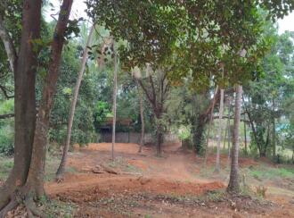 Residential Land for Sale in Palakkad, Ottappalam, Vaniyamkulam, Vanniyamkulam-vallappuzha road