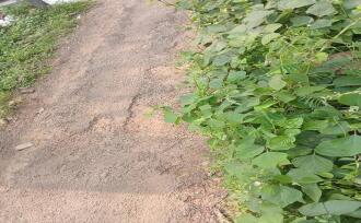 Residential Land for Sale in Ernakulam, Muvattupuzha, Elanji, Mutholapuram