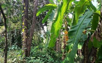 Residential Land for Sale in Thrissur, Chalakudy, Chalakkudy, near railway station