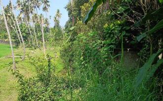 Residential Land for Sale in Thrissur, Chalakudy, Chalakkudy, near railway station