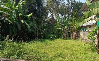 Residential Land for Sale in Thrissur, Chalakudy, Chalakkudy, near railway station