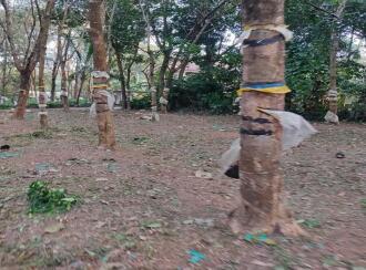 Residential Land for Sale in Kollam, Kollam, Nallila, Palanirappu temple