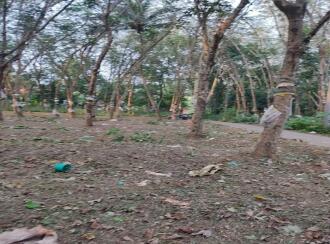 Residential Land for Sale in Kollam, Kollam, Nallila, Palanirappu temple