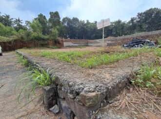 Residential Land for Sale in Ernakulam, Kanayannur, Kanayannur, Kureekad Kottayathupara Road (Namburisshan Mala Road)