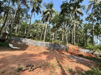 Residential Land for Sale in Kozhikode, Atholi, Atholi, kongannur
