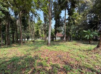 Residential Land, Pathanamthitta