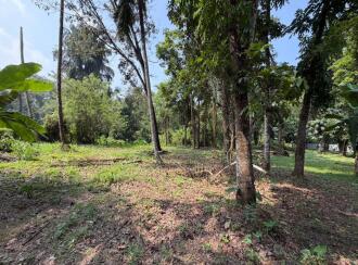 Residential Land for Sale in Pathanamthitta, Thiruvalla, Azhiyidathuchira, Puthiya madam