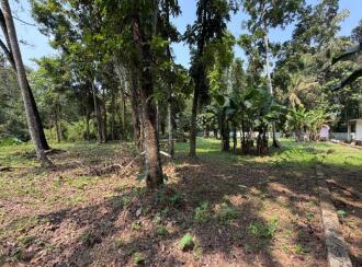 Residential Land for Sale in Pathanamthitta, Thiruvalla, Azhiyidathuchira, Puthiya madam