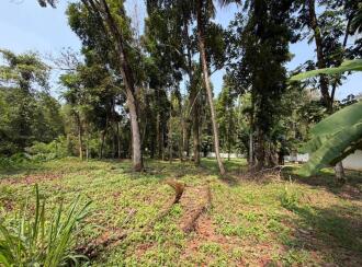 Residential Land for Sale in Pathanamthitta, Thiruvalla, Azhiyidathuchira, Puthiya madam