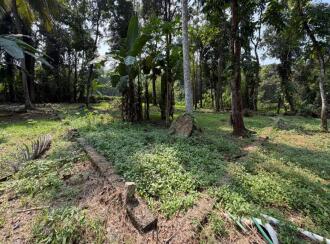 Residential Land for Sale in Pathanamthitta, Thiruvalla, Azhiyidathuchira, Puthiya madam