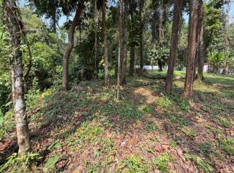 Residential Land for Sale in Pathanamthitta, Thiruvalla, Azhiyidathuchira, Puthiya madam