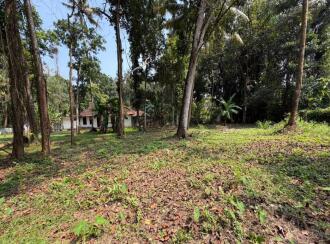Residential Land for Sale in Pathanamthitta, Thiruvalla, Azhiyidathuchira, Puthiya madam