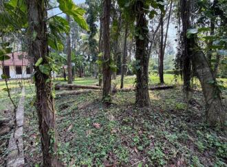Residential Land for Sale in Pathanamthitta, Thiruvalla, Azhiyidathuchira, Puthiya madam