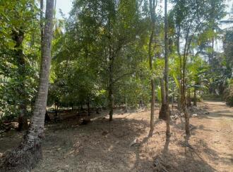 Residential Land for Sale in Thrissur, Kodungallur, Ala