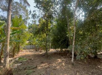 Residential Land for Sale in Thrissur, Kodungallur, Ala