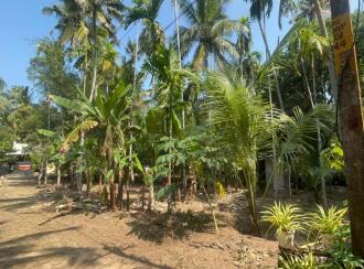 Residential Land for Sale in Thrissur, Kodungallur, Ala