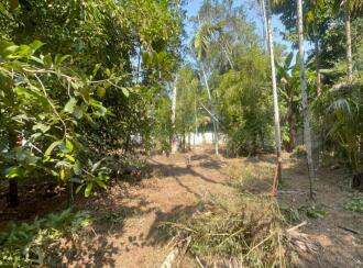 Residential Land for Sale in Thrissur, Kodungallur, Ala