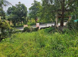 Residential Land for Sale in Wayanad, Sulthan bathery, Kakkavayal, Poomala Temple kakkavayal