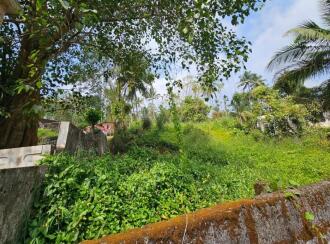 Residential Land for Sale in Wayanad, Sulthan bathery, Kakkavayal, Poomala Temple kakkavayal