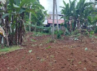 Residential Land for Sale in Kottayam, Pampady, Pampady, Nedumkuzhy