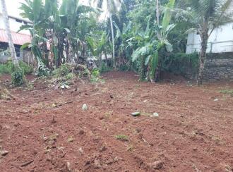 Residential Land for Sale in Kottayam, Pampady, Pampady, Nedumkuzhy