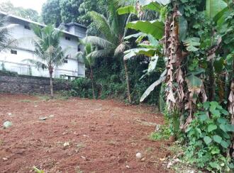 Residential Land for Sale in Kottayam, Pampady, Pampady, Nedumkuzhy