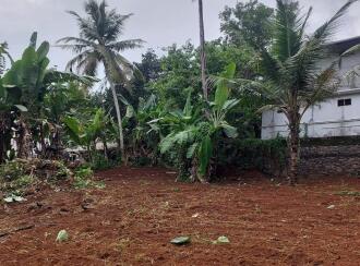 Residential Land for Sale in Kottayam, Pampady, Pampady, Nedumkuzhy