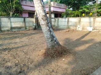 Residential Land for Sale in Ernakulam, Paravur, Kedamangalam, Chundanikavu