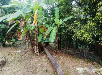 Residential Land for Sale in Kannur, Thaliparamba, Thaliparamba, Manakkadavu