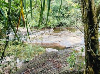 Residential Land for Sale in Kannur, Thaliparamba, Thaliparamba, Manakkadavu