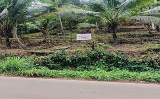 Residential Land for Sale in Kannur, Thaliparamba, Thaliparamba, Manakkadavu