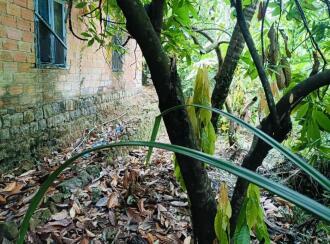 Residential Land for Sale in Kannur, Thaliparamba, Thaliparamba, Manakkadavu