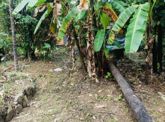 Residential Land for Sale in Kannur, Thaliparamba, Thaliparamba, Manakkadavu