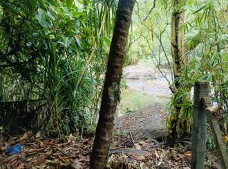 Residential Land for Sale in Kannur, Thaliparamba, Thaliparamba, Manakkadavu