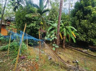 Residential Land for Sale in Kannur, Thaliparamba, Thaliparamba, Manakkadavu