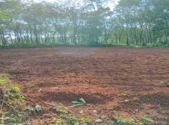 Residential Land for Sale in Kottayam, Changanassery, Thengana, Perumpanachy