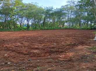 Residential Land for Sale in Kottayam, Changanassery, Thengana, Perumpanachy