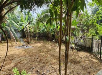 Residential Land for Sale in Kottayam, Changanassery, Thrikkodithanam, Mukkattupady