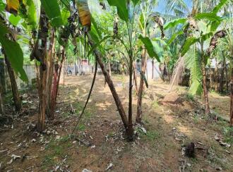 Residential Land for Sale in Kottayam, Changanassery, Thrikkodithanam, Mukkattupady