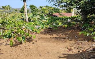Agricultural Land for Sale in Wayanad, Sulthan bathery, Cheeral