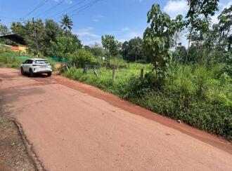 Residential Land, Pathanamthitta